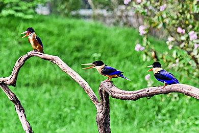 华纳兄弟仍决定加大力度开发在线服务类游戏