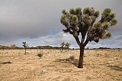 《最终幻想起源：天堂的陌生人》下载版全平台开启75折优惠 截止至5月25日